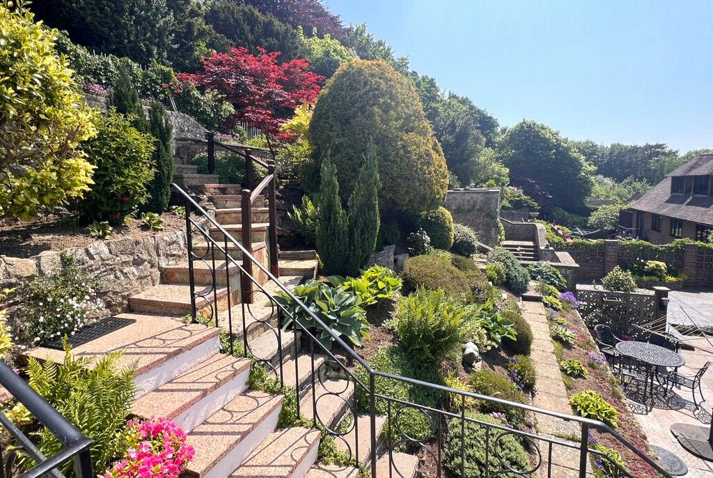 The garden