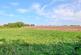 Rear field views