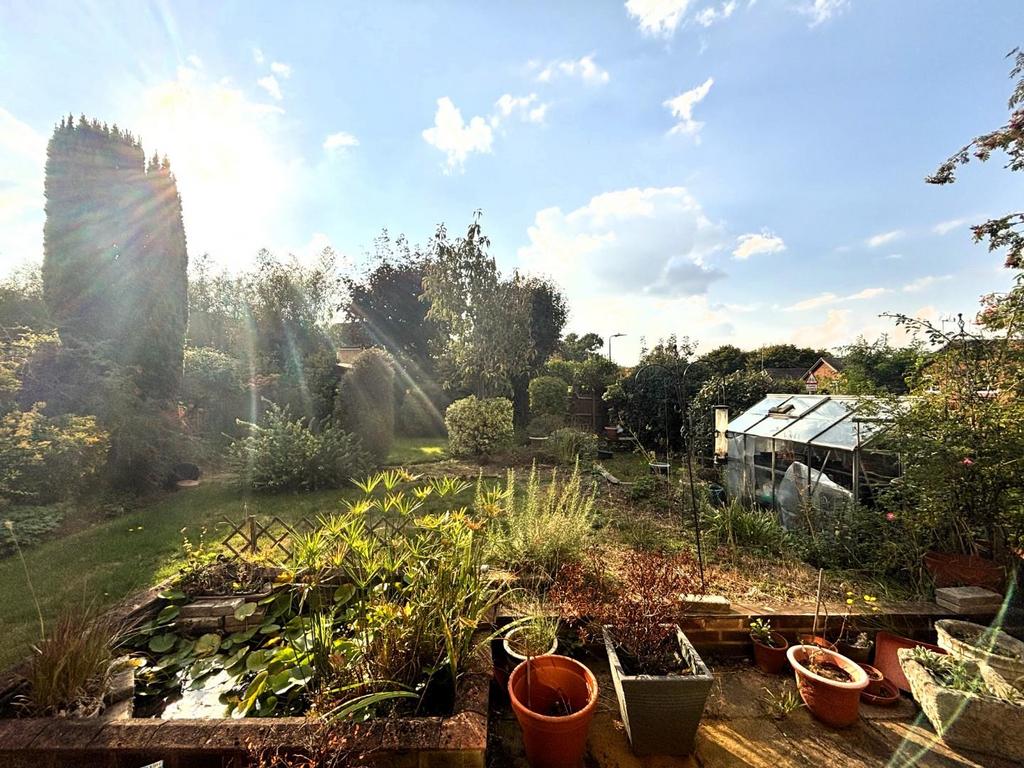 Garden.jpeg