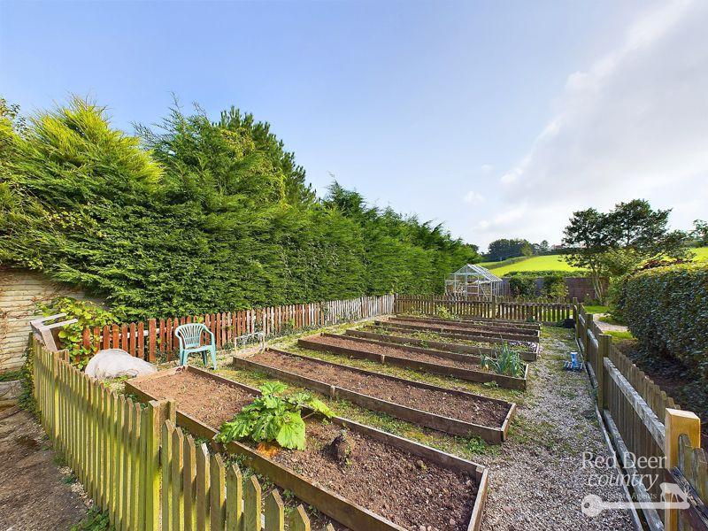 Kitchen Garden