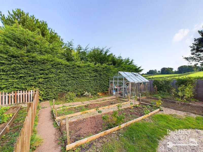 Kitchen Garden