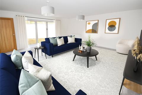 undefined, Wembdon Orchard, Wembdon, Bridgwater, Somerset, TA6