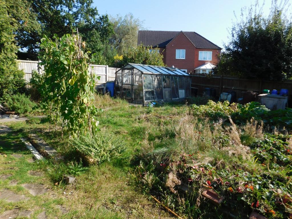 Vegetable garden