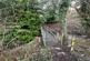 IMG-20240115-WA0013.jpg