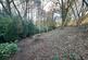 IMG-20240115-WA0011.jpg