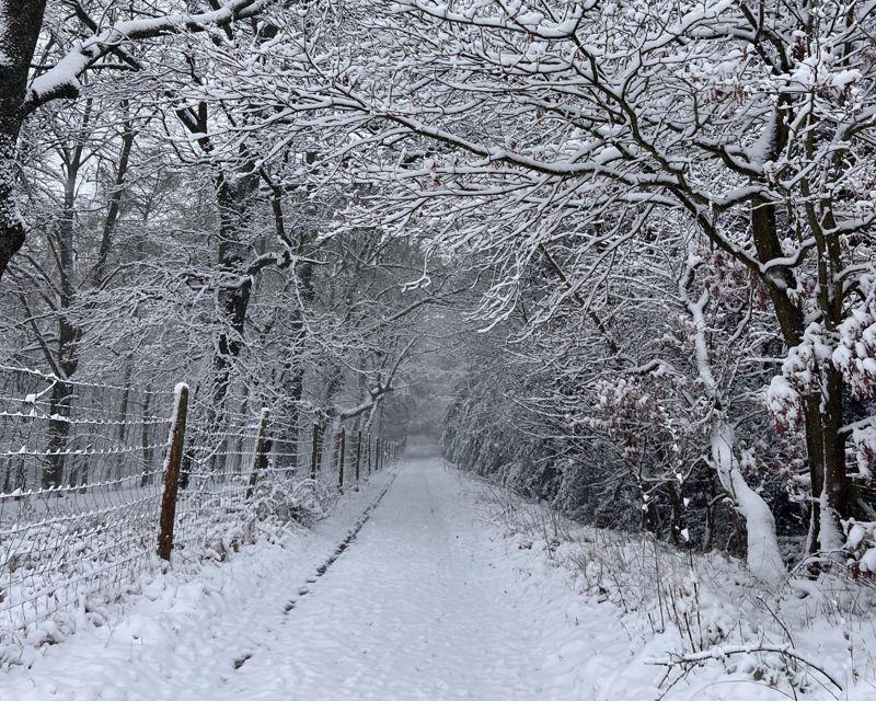 Driveway with snow