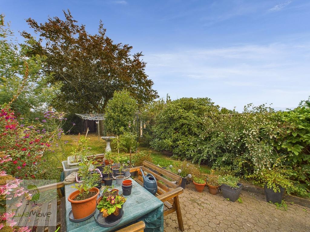 Back Garden