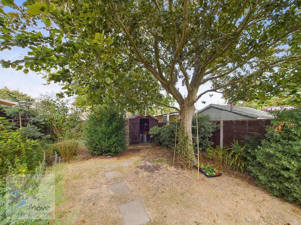 Back Garden