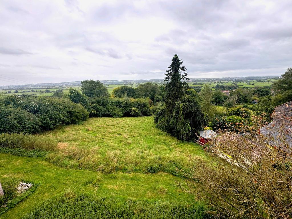 View from window.jpeg