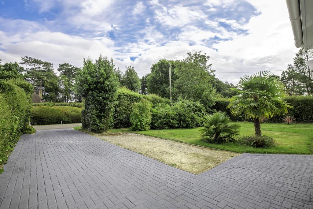 Driveway