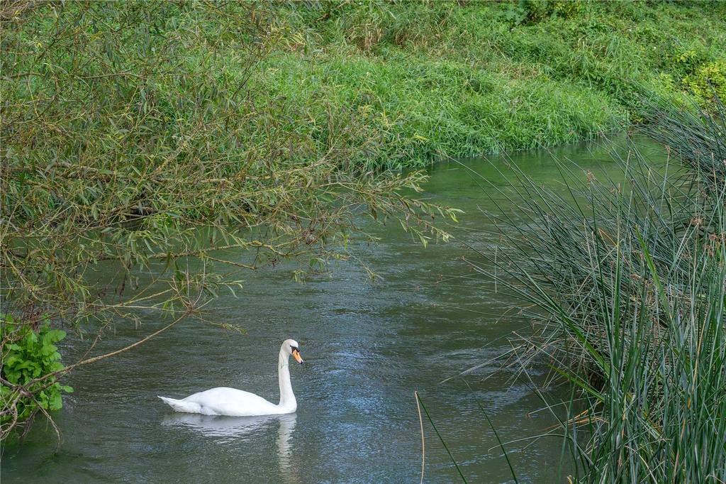 River Cherwell