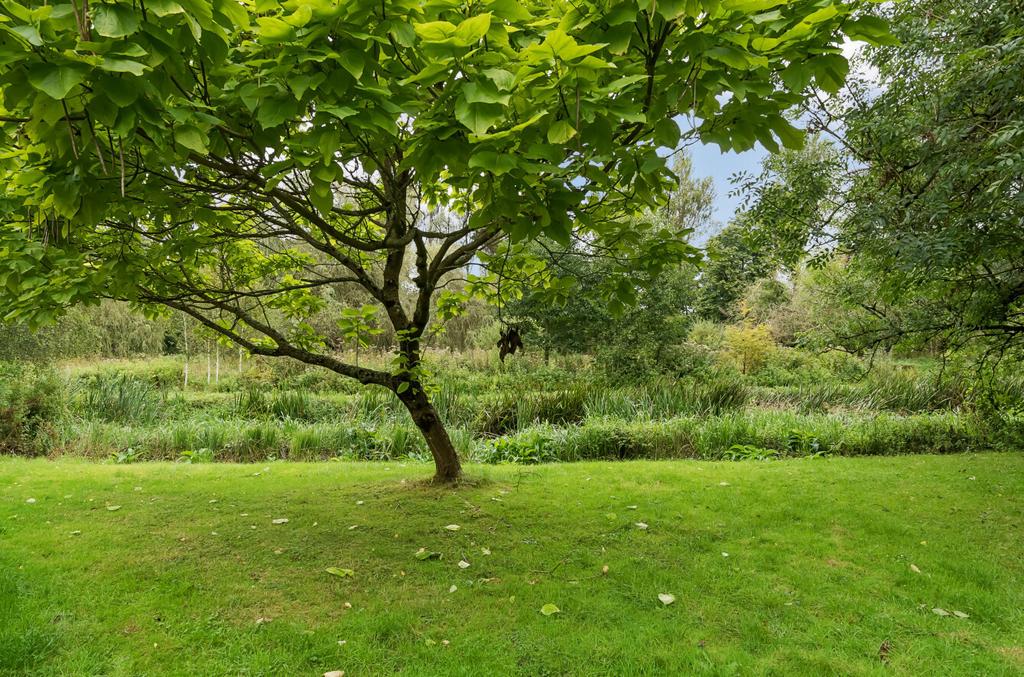 Communal Garden