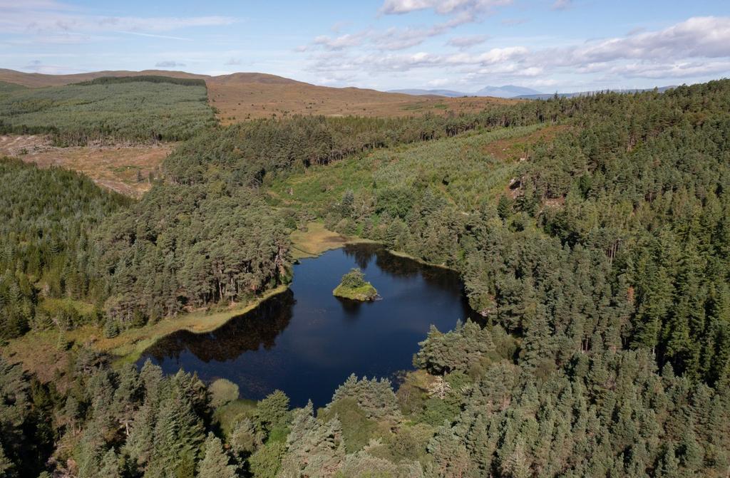 Pond At Carbisdale