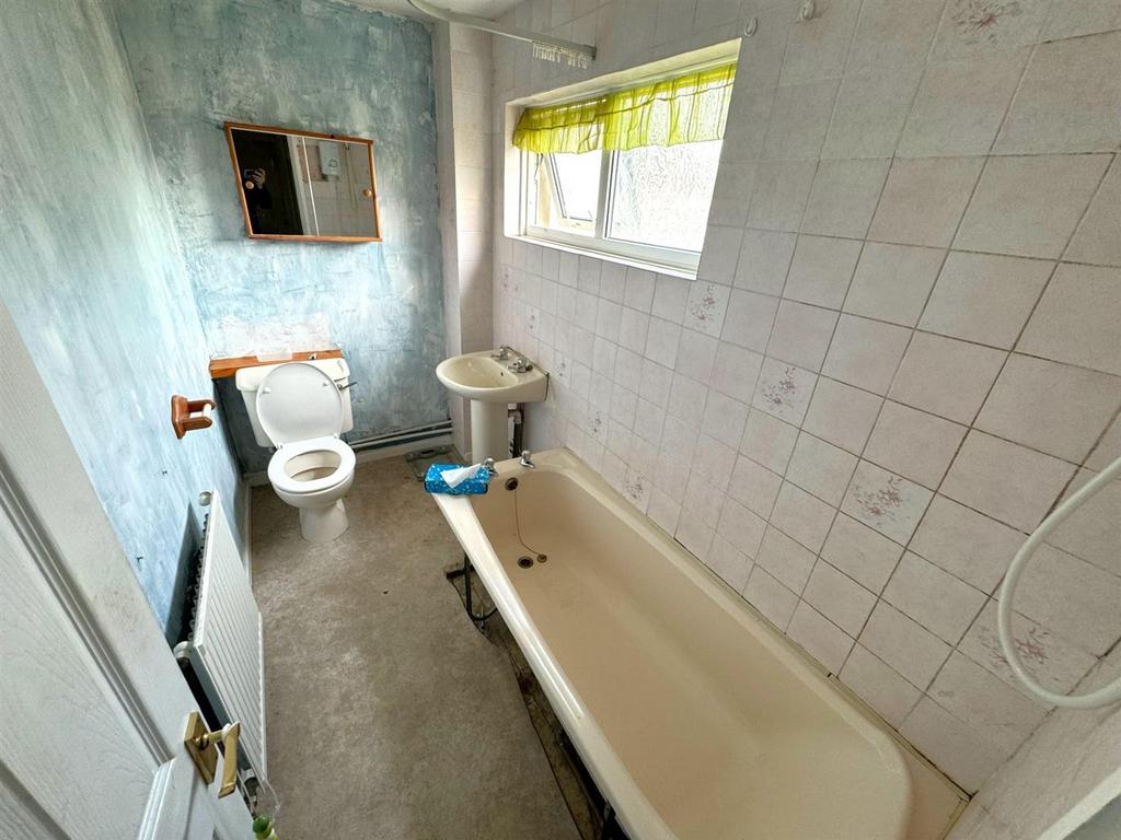 Thumbnail image1 (3).jpg