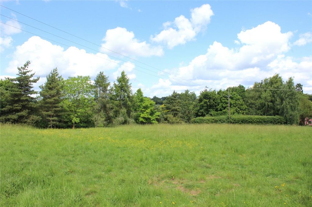 Meadow