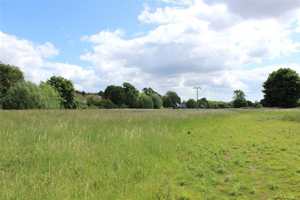 Meadow