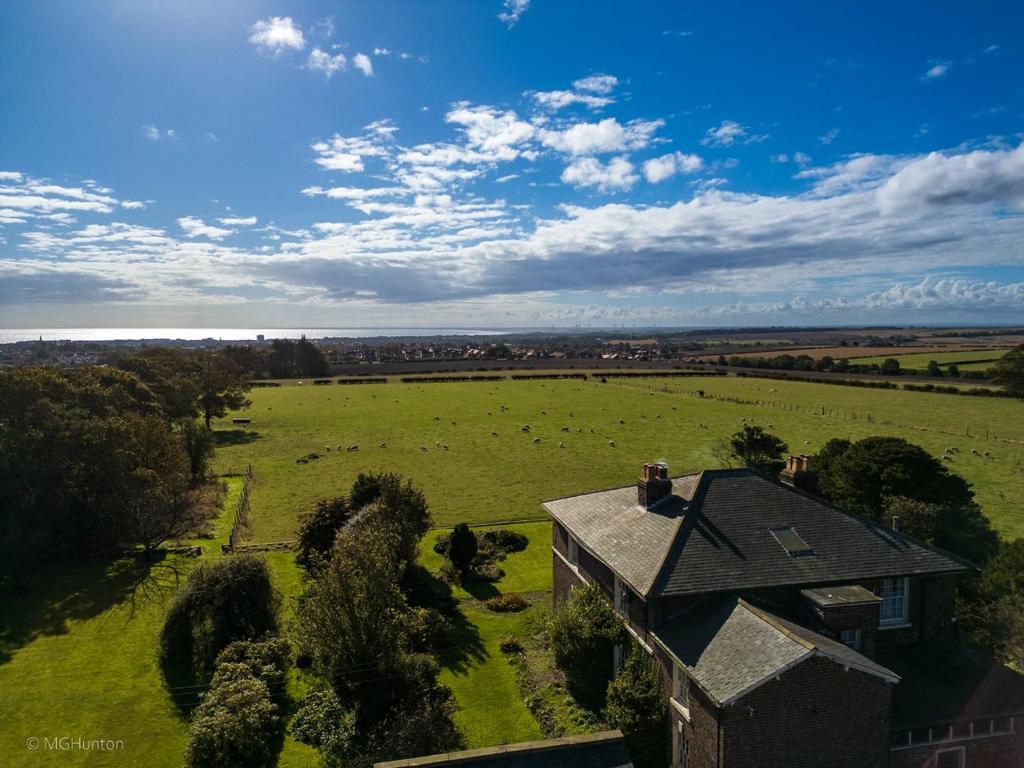 DJI 0914.jpg