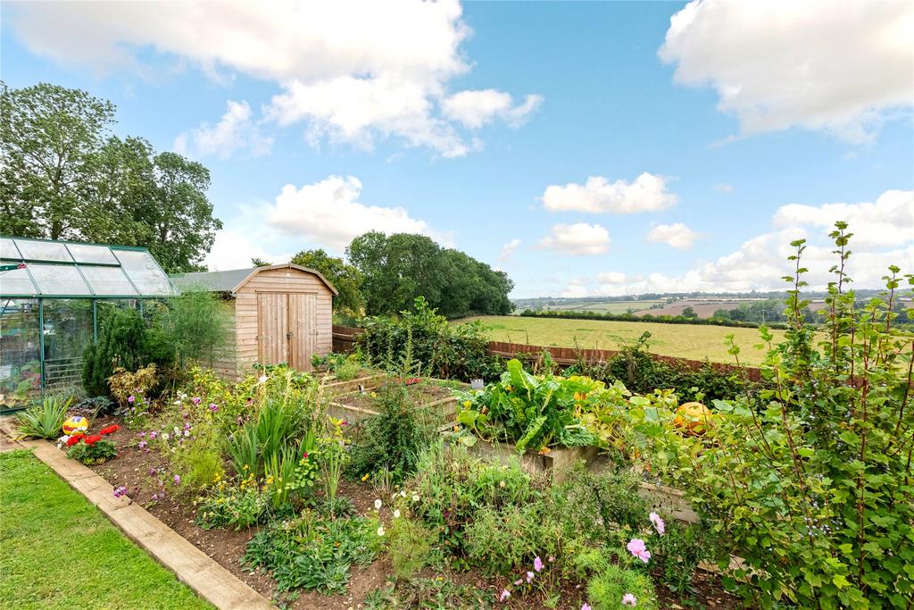 Vegetable Garden