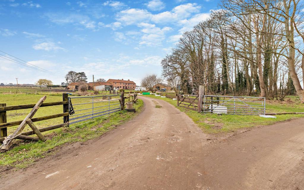 Driveway
