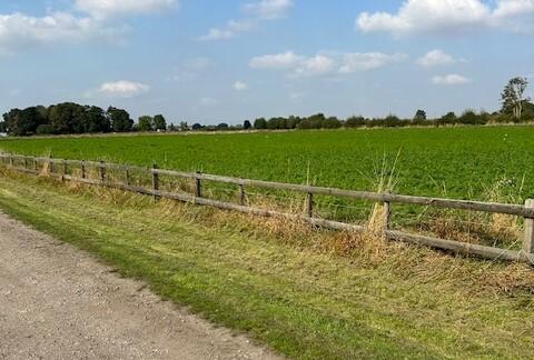 Crops