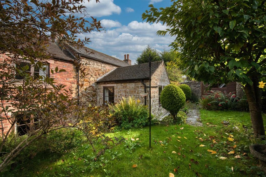 Rear garden - lawn and arborvitae.jpg