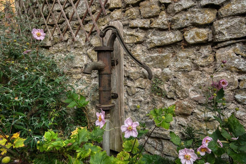 Garden - pump.jpg