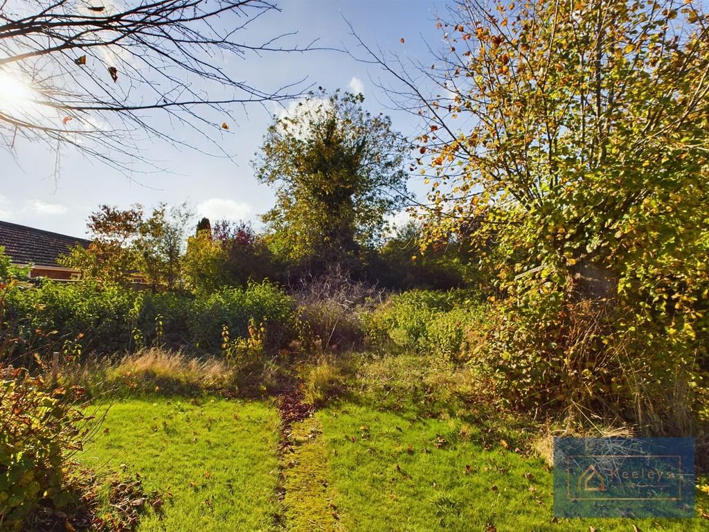 Back garden