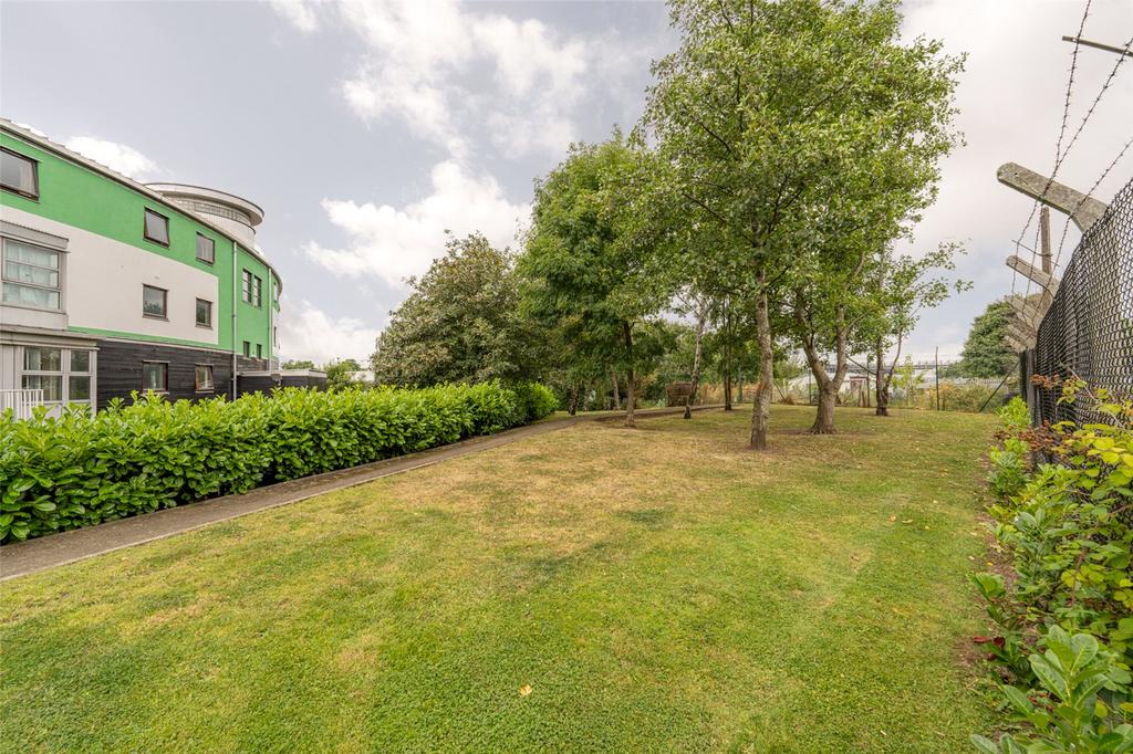 Shared Grounds