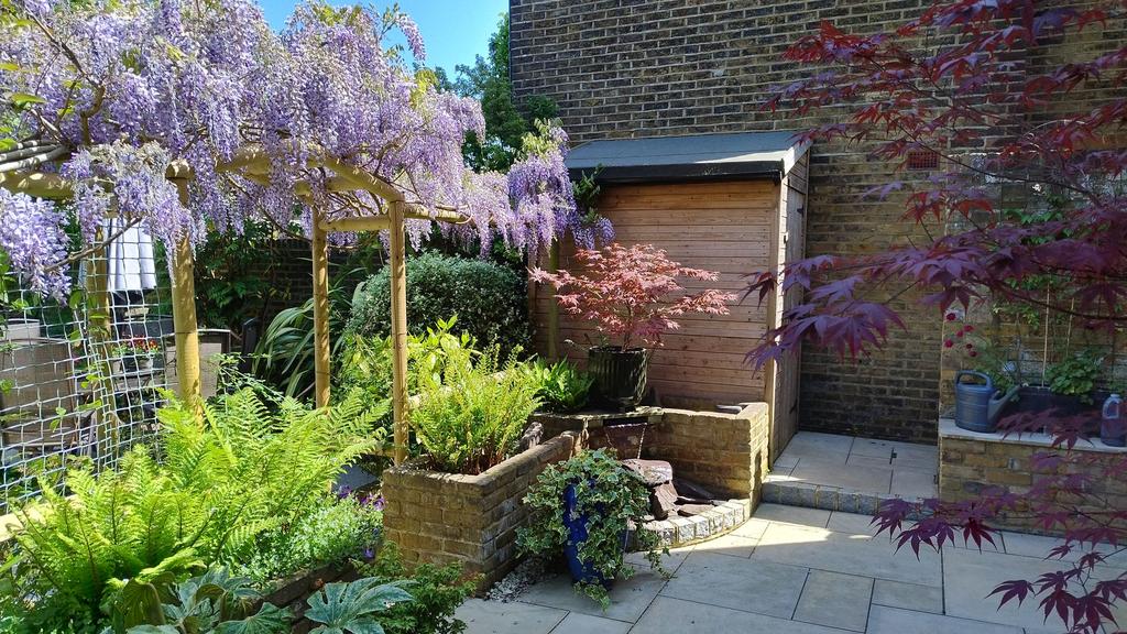 Garden (11)