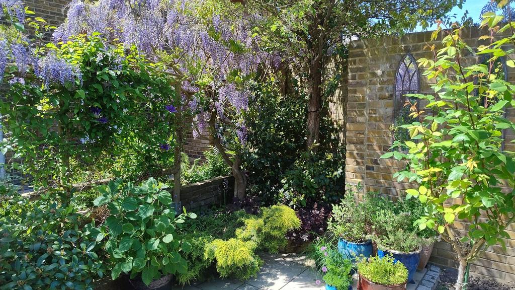 Garden (13)