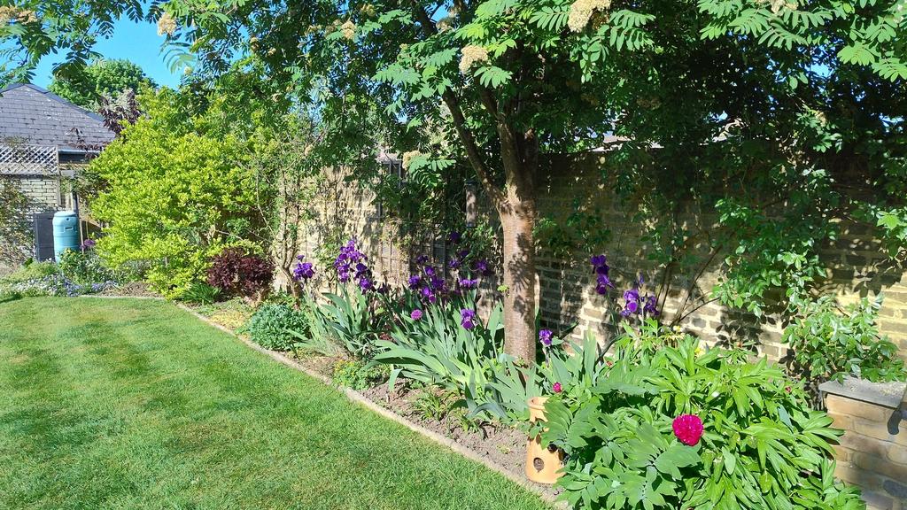 Garden (14)