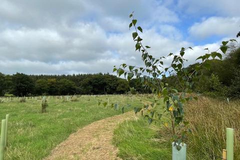 Land for sale, Beaworthy, Devon