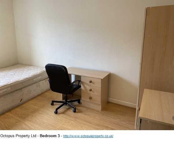 Picture 16