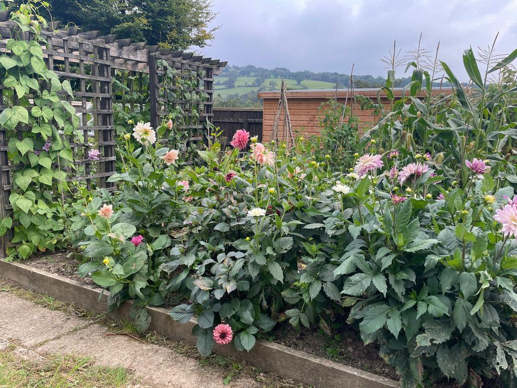 Off lying garden (third image)