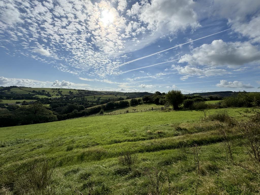 The land