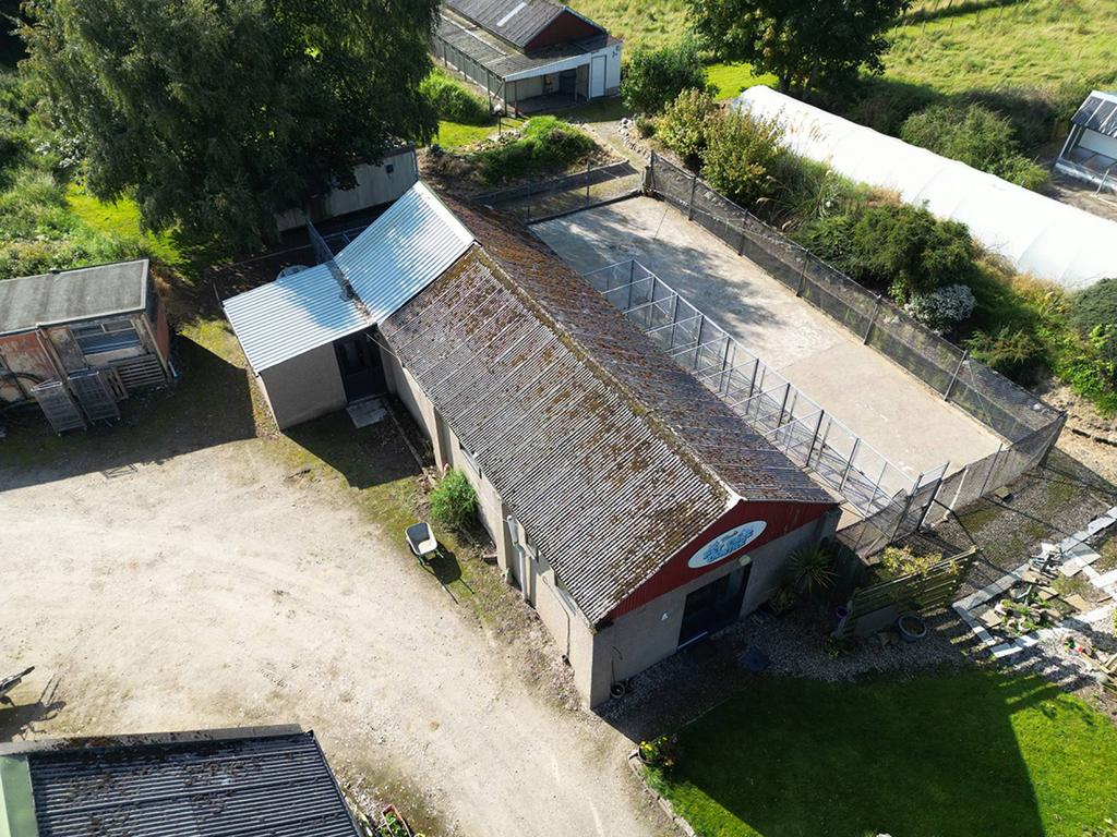 Mfl1230558 388.jpg