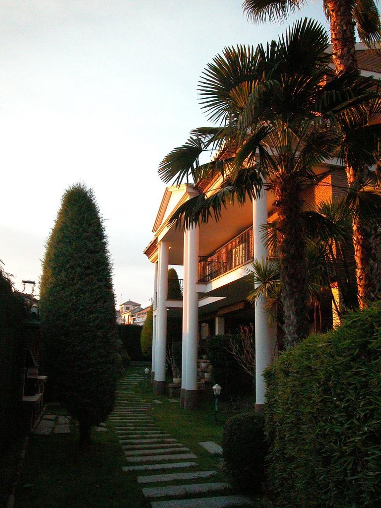 Picture No. 65