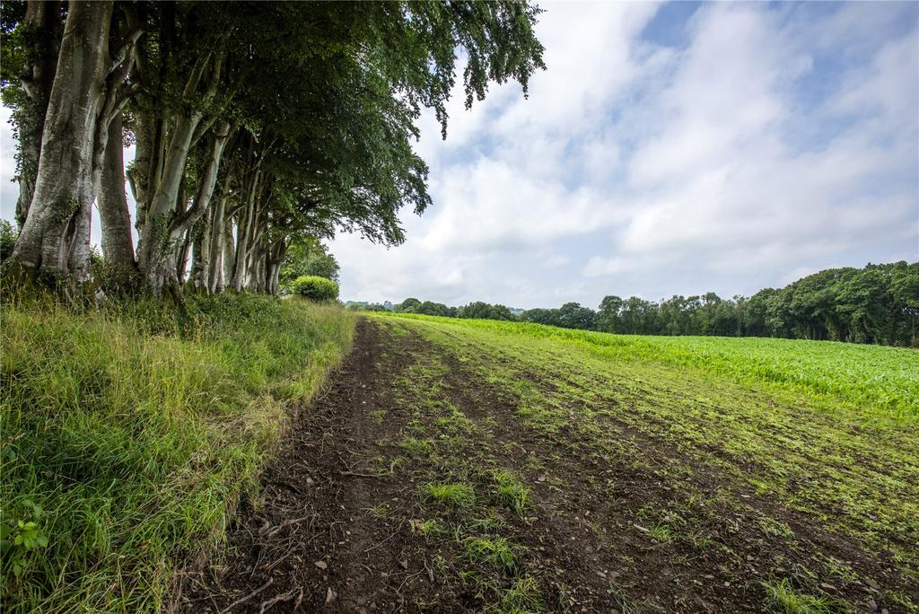 Agricultural Land