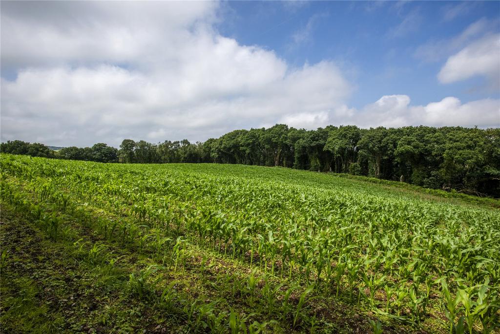 Agricultural Land