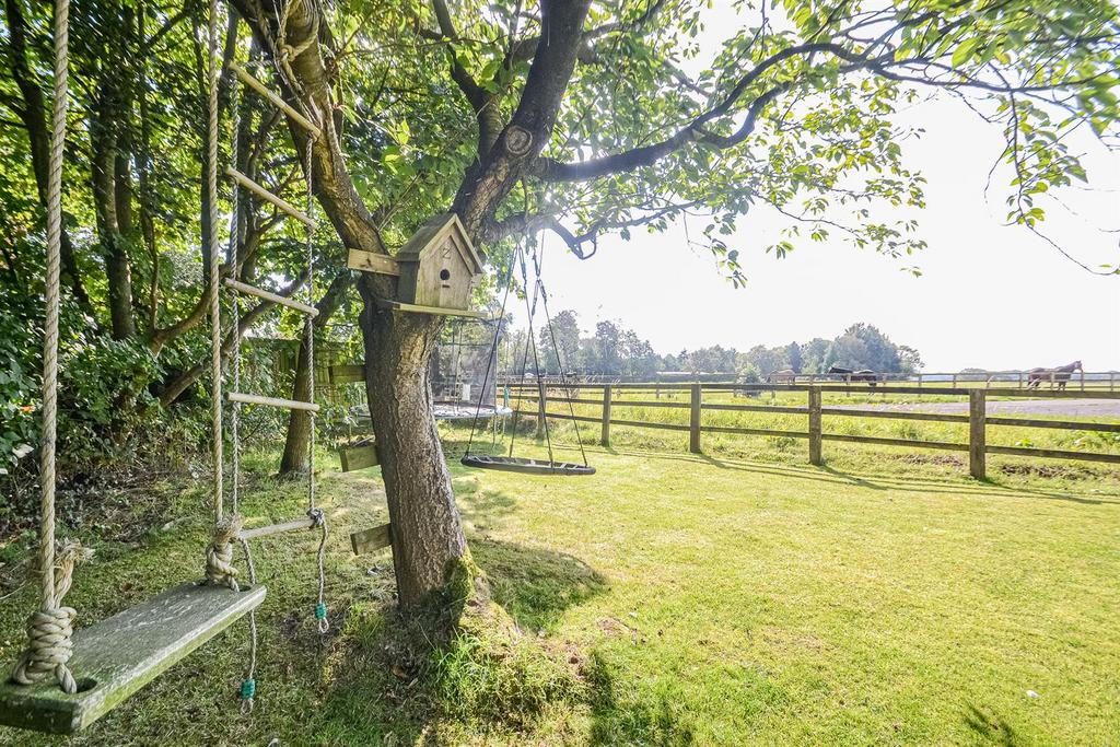 Garden &amp; Field View