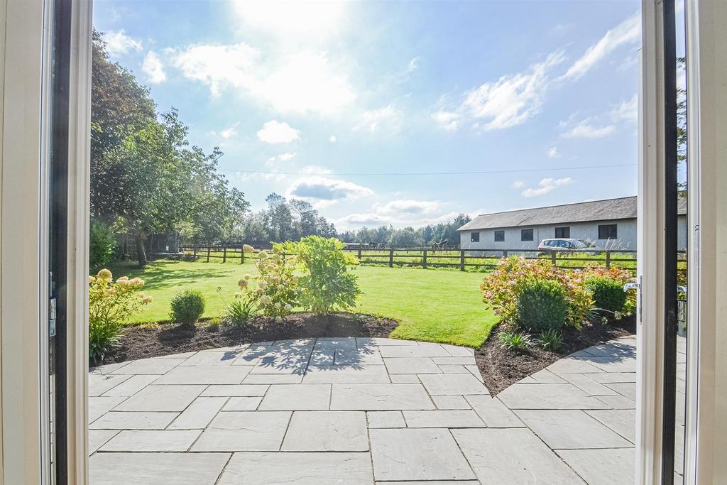 Patio Garden &amp; Lawn