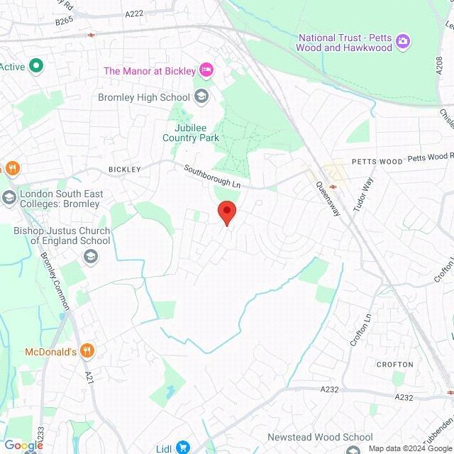 Google Maps Image