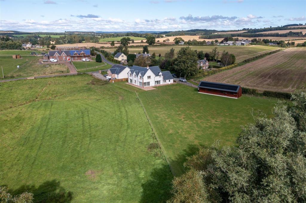 DJI 0339.jpg