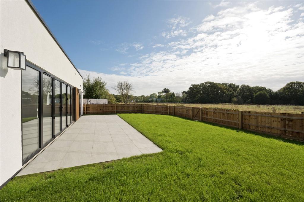 Garden and Patio