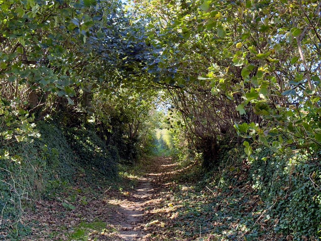 Bridleway to lower reen