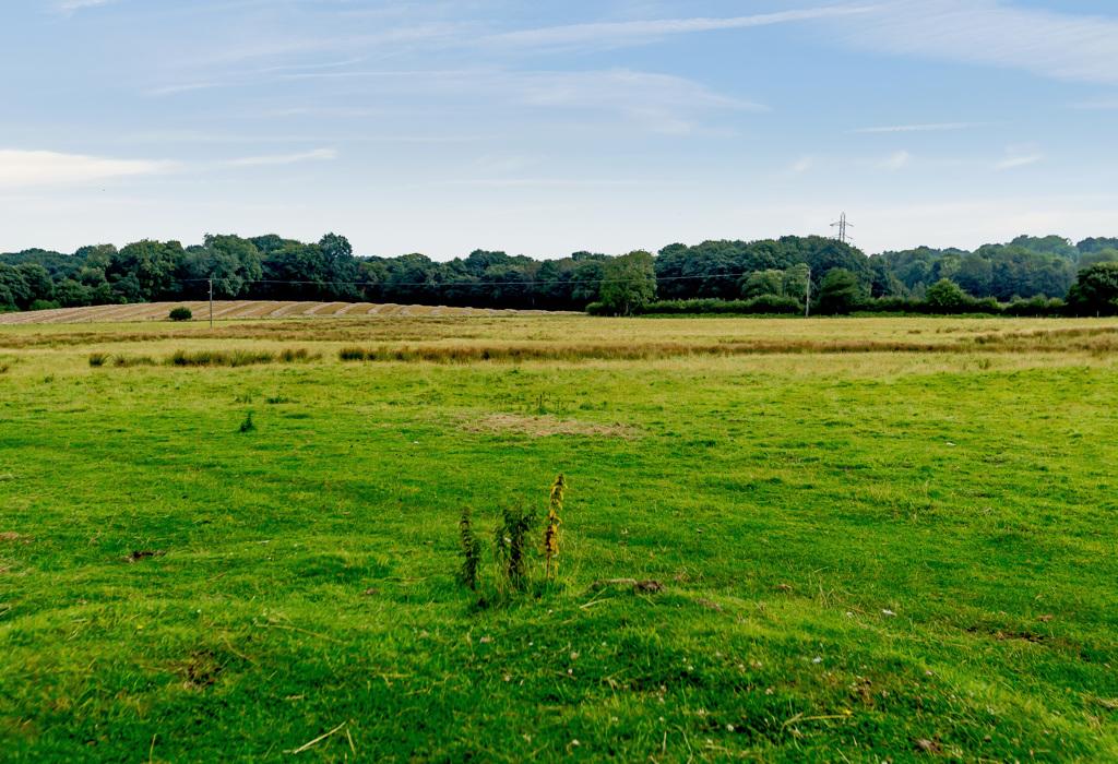 Rural Yorkshire landscapes