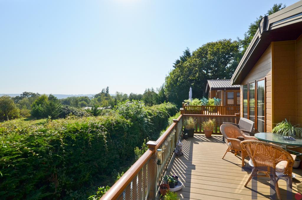 Balcony-Terrace Area.JPG