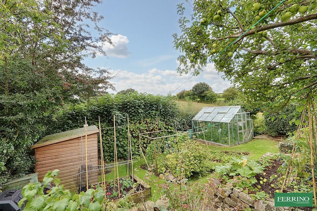 Vegetable Garden