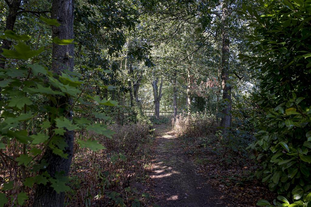 95-The Lodge, Brake Lane, Hagley.jpg