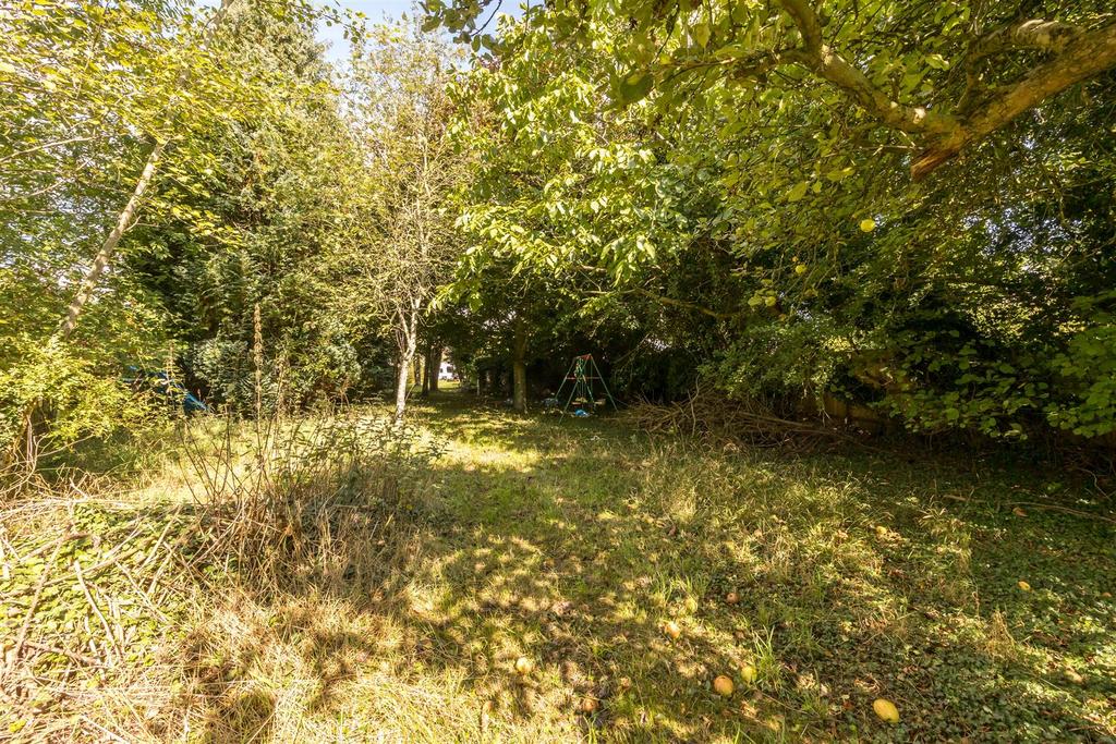 Wooded area near end of garden